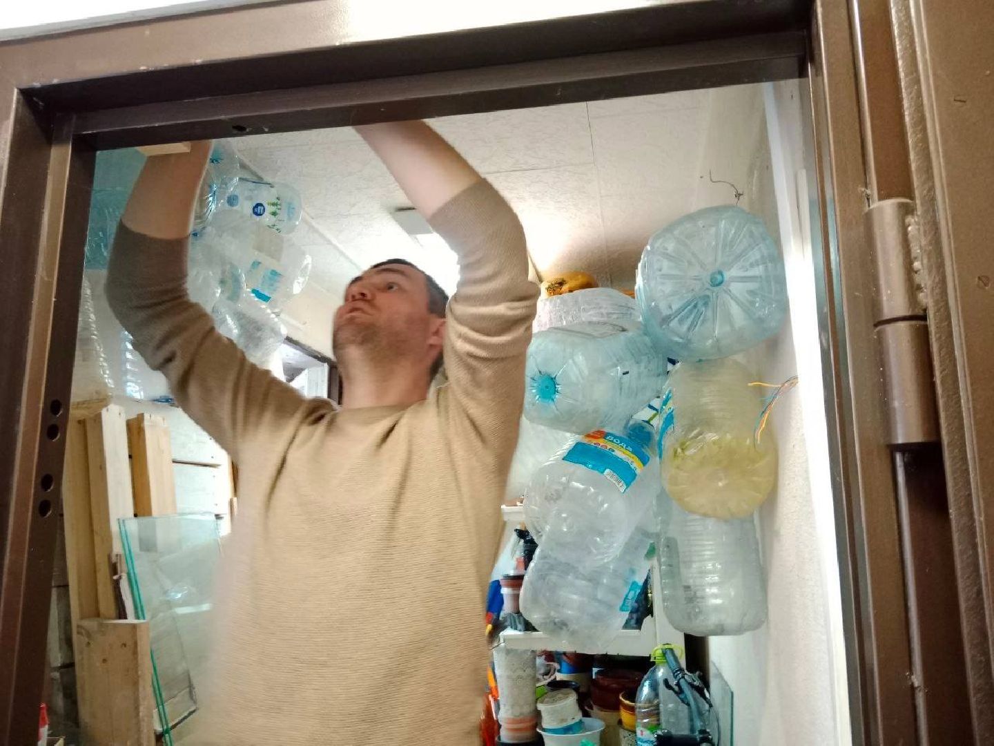 Город-сад, волонтёры, рассада, Бах, Шопен