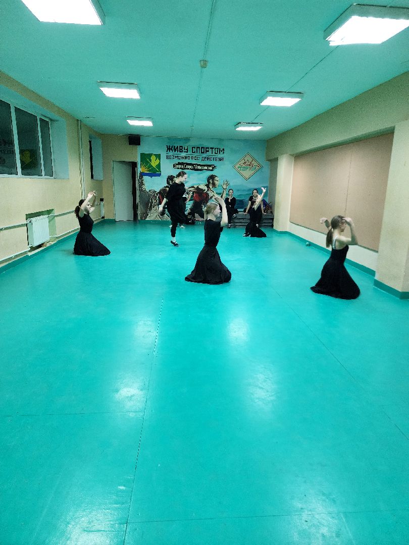 хореография, танцевальный ансамбль, вернисаж, шатура,