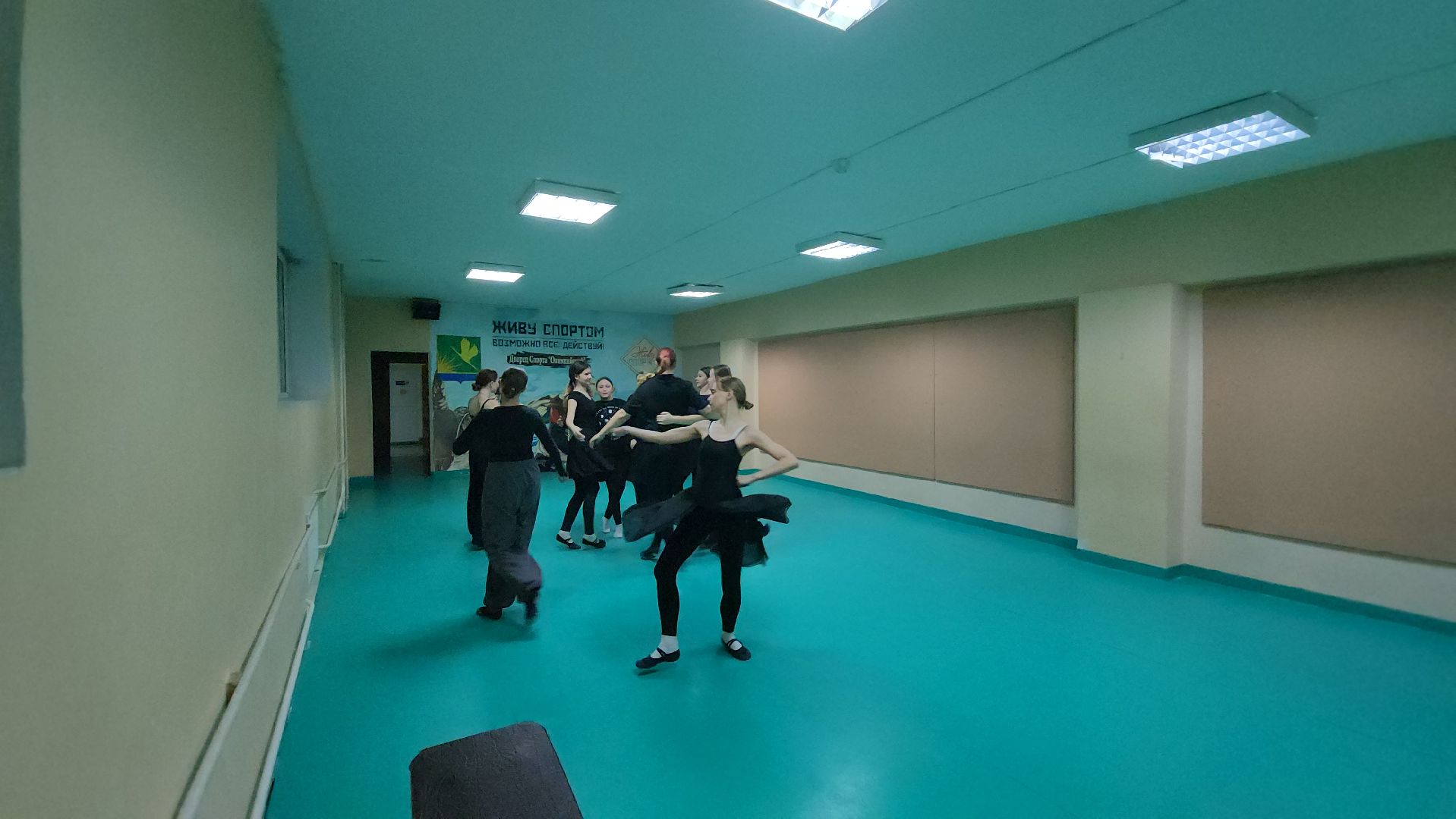 хореография, танцевальный ансамбль, вернисаж, шатура,