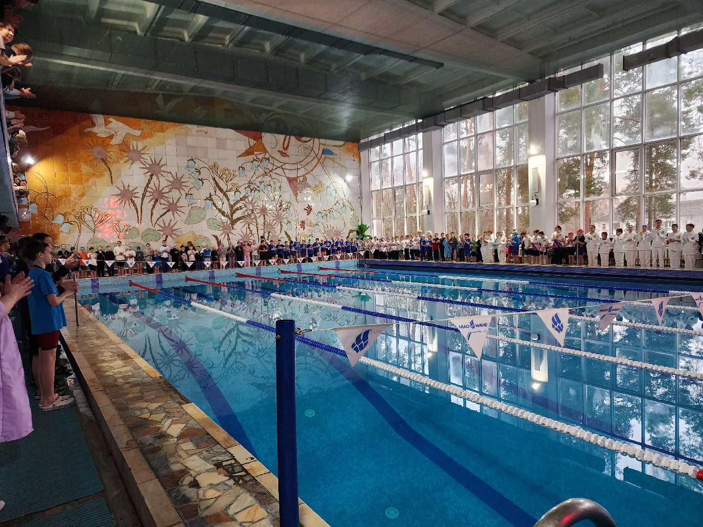 верикалки, дети, плавание, восточное подмосковье, турнир, шатура,