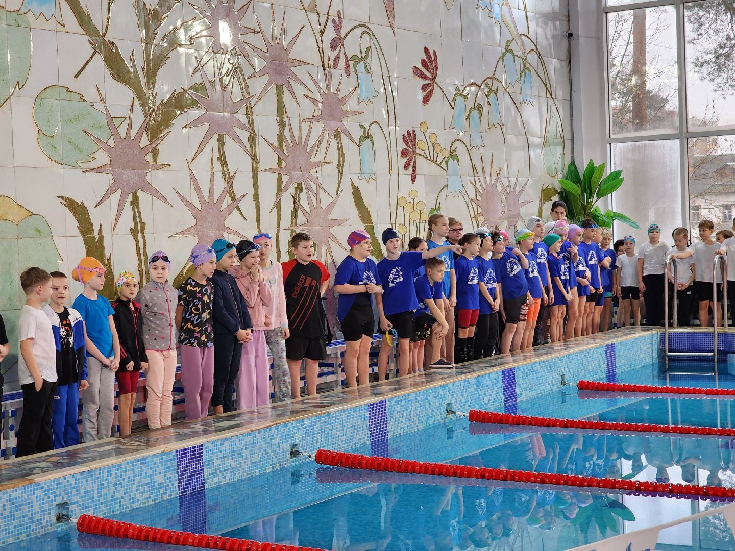 верикалки, дети, плавание, восточное подмосковье, турнир, шатура,