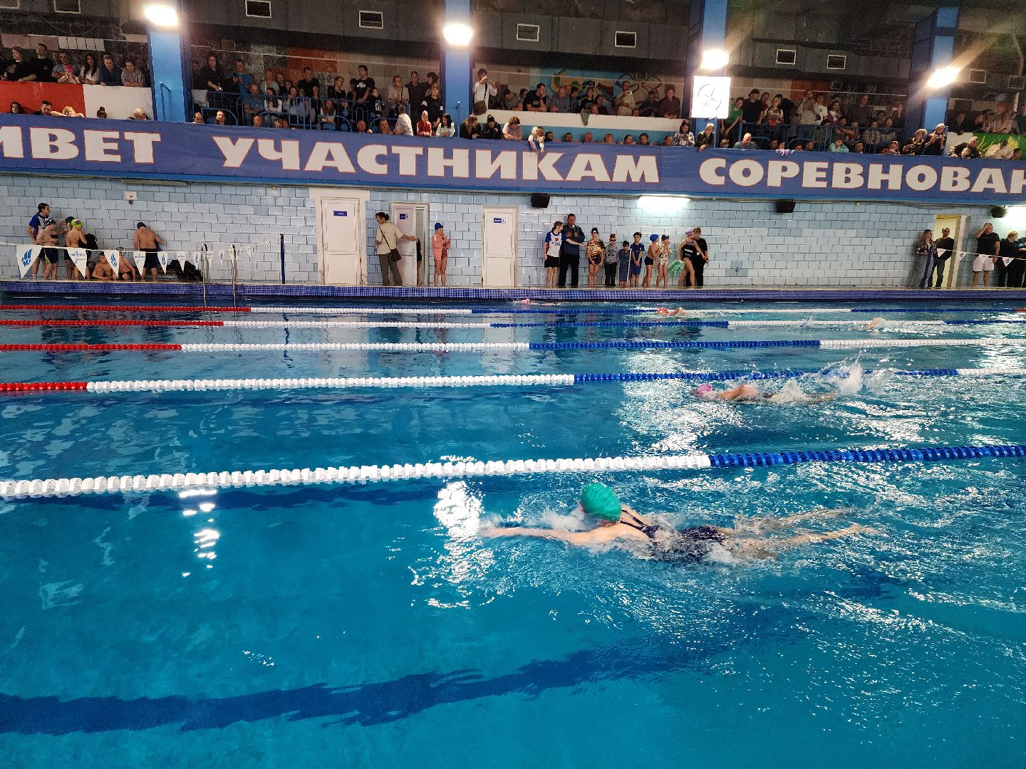 верикалки, дети, плавание, восточное подмосковье, турнир, шатура,