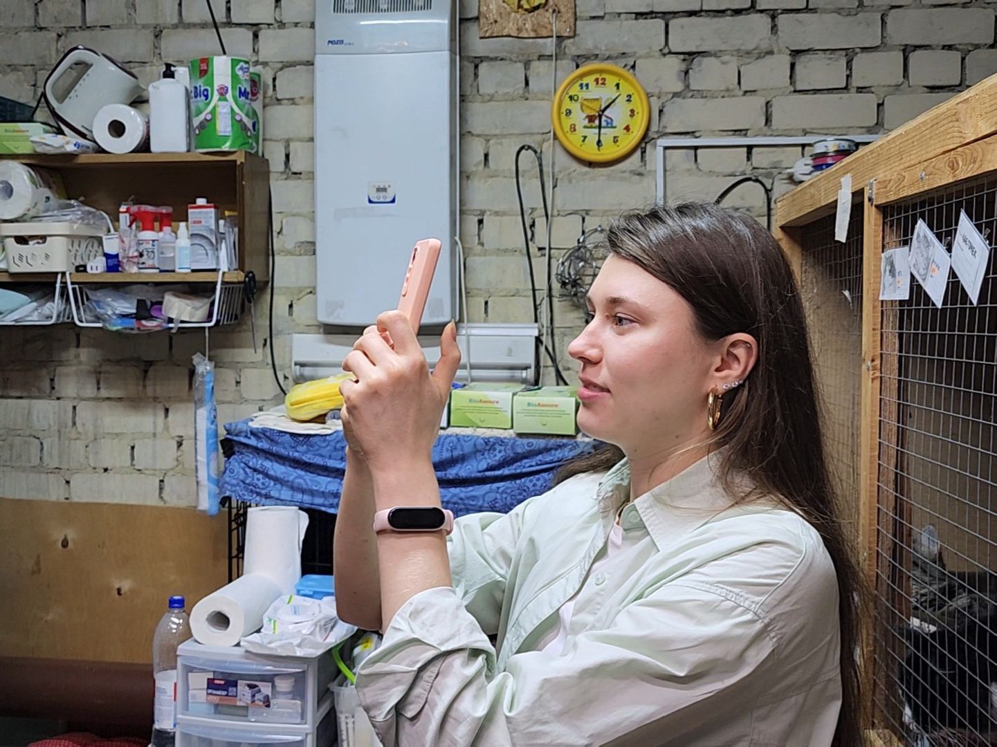 Дубна, приют для животных, Кошки, гарри поттер, Благотворительность, вертикалки,