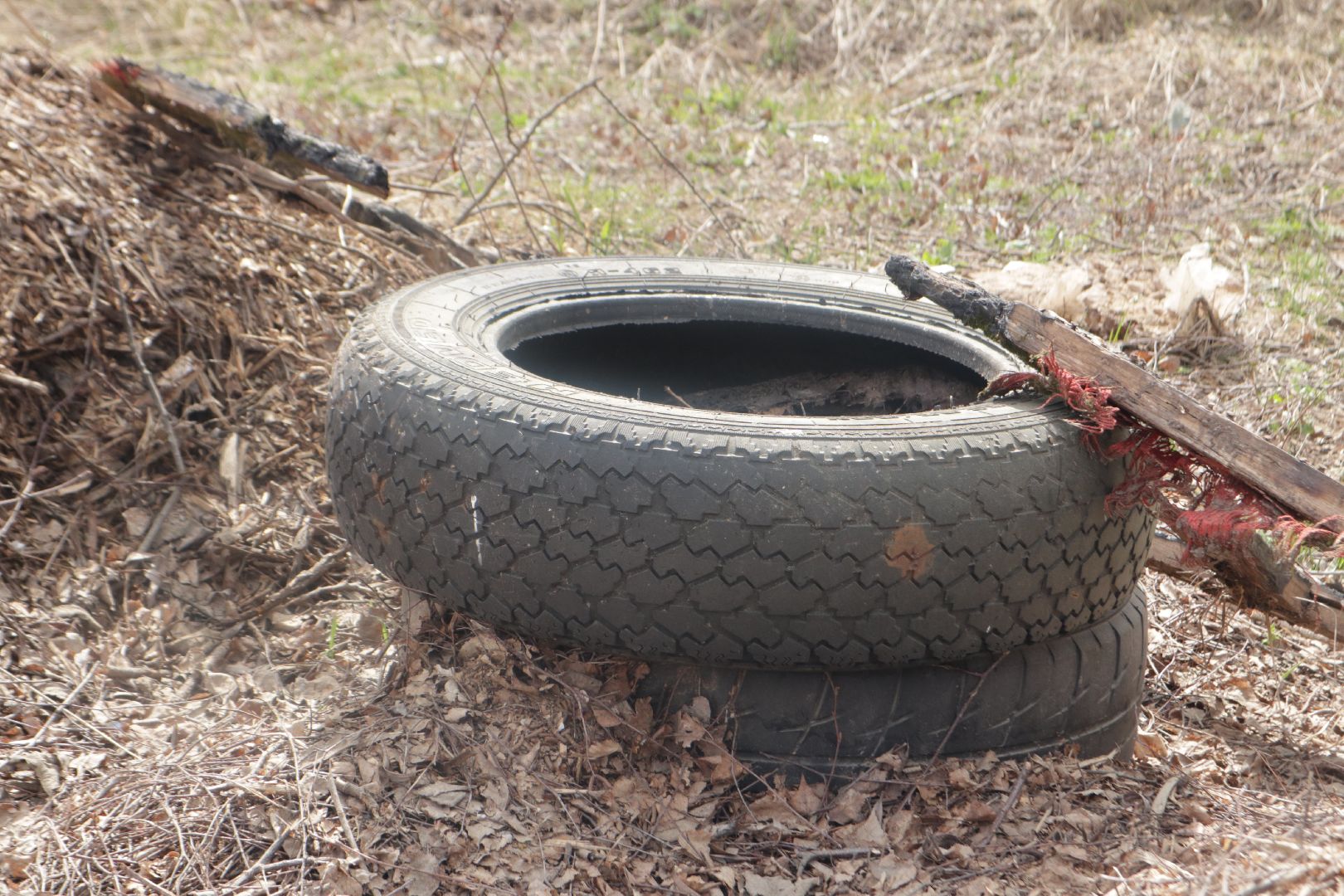 Пущино, субботник, Мегабак, экология