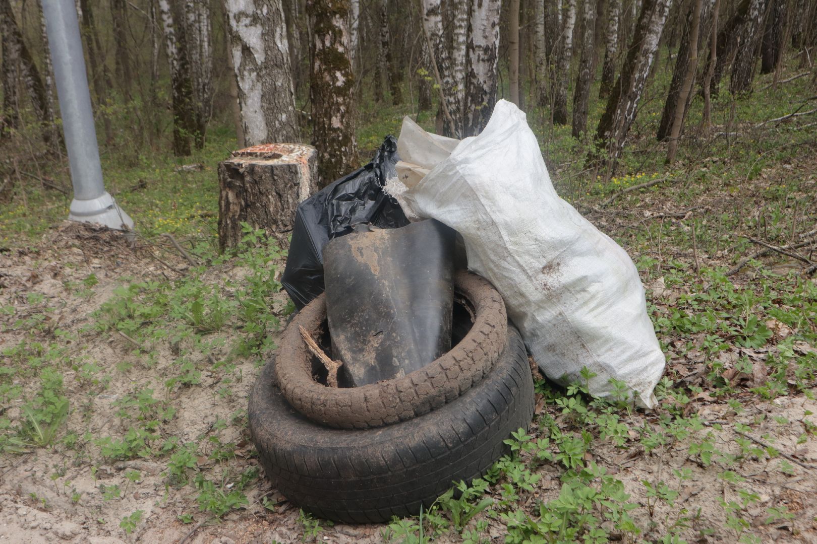 Пущино, субботник, Мегабак, экология