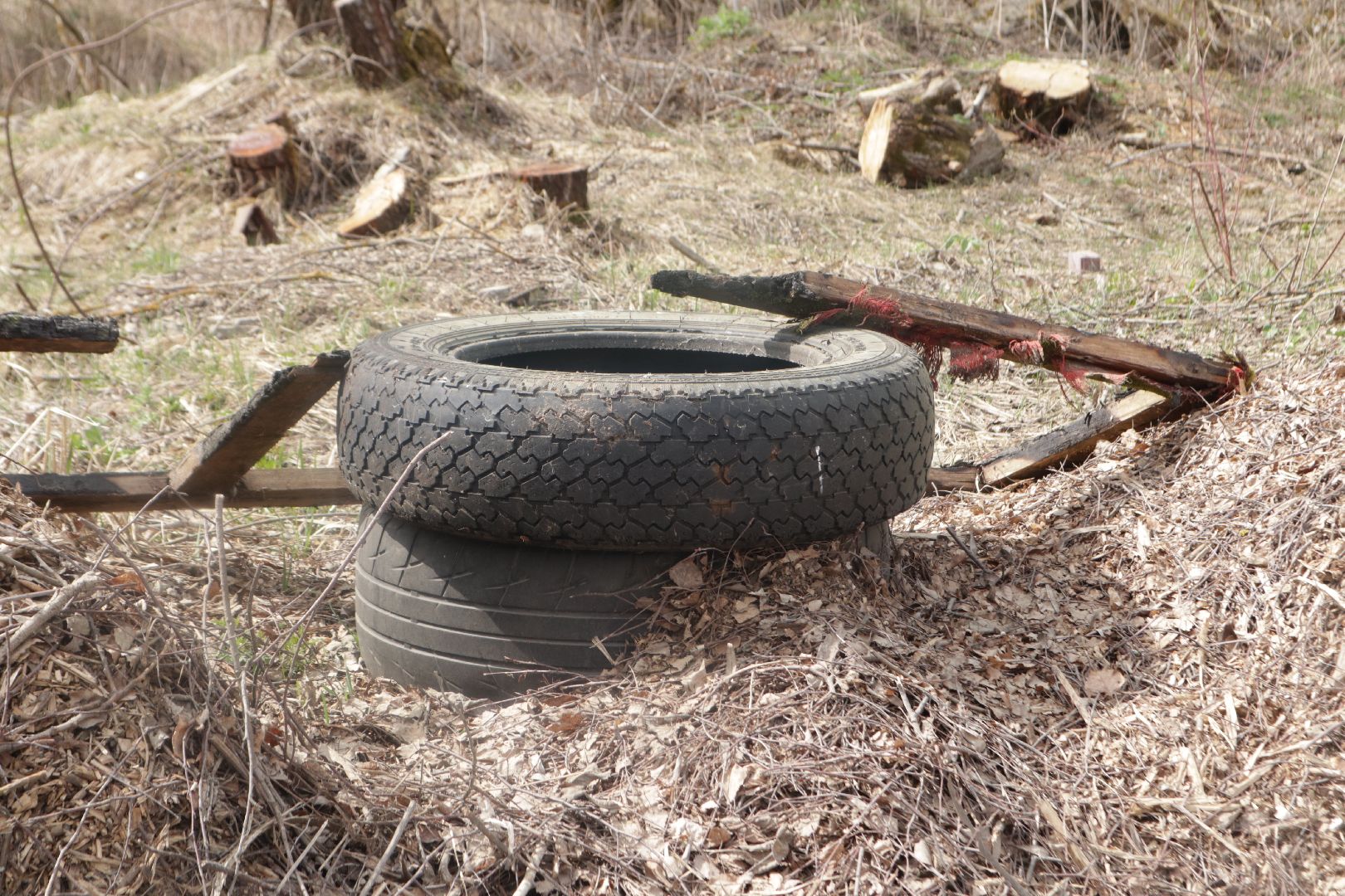 Пущино, субботник, Мегабак, экология