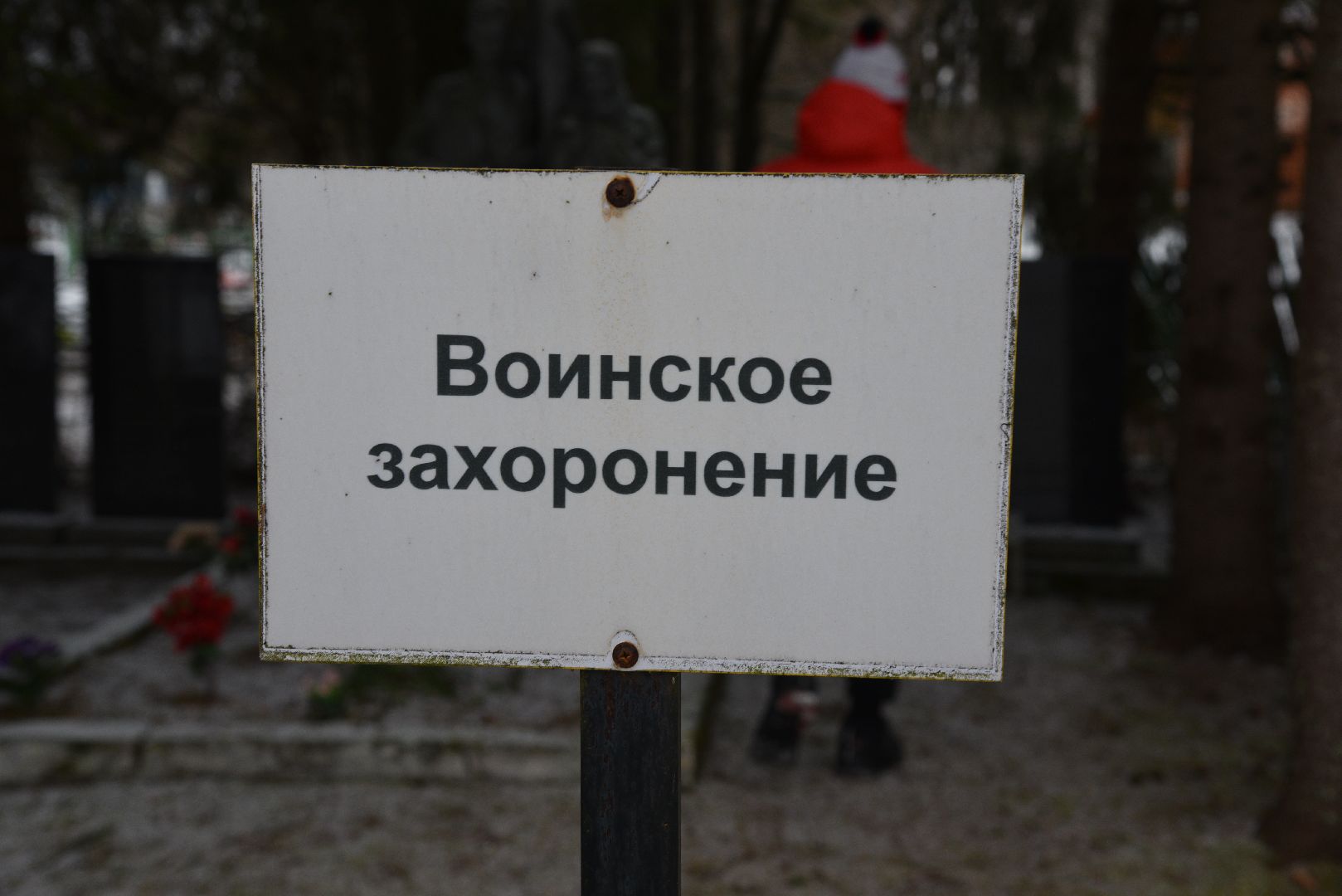 лотошино, волонтеры, волонтеры подмосковья, братская могила, великая отечественная война, вертикалка,