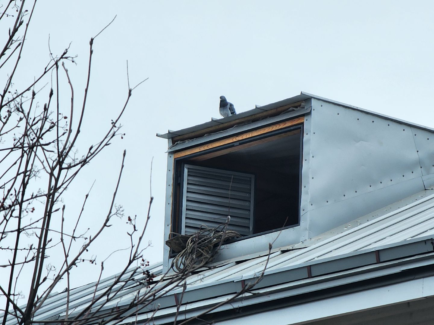 Коломна, капитальный ремонт крыши, фонд капитального ремонта мкд,