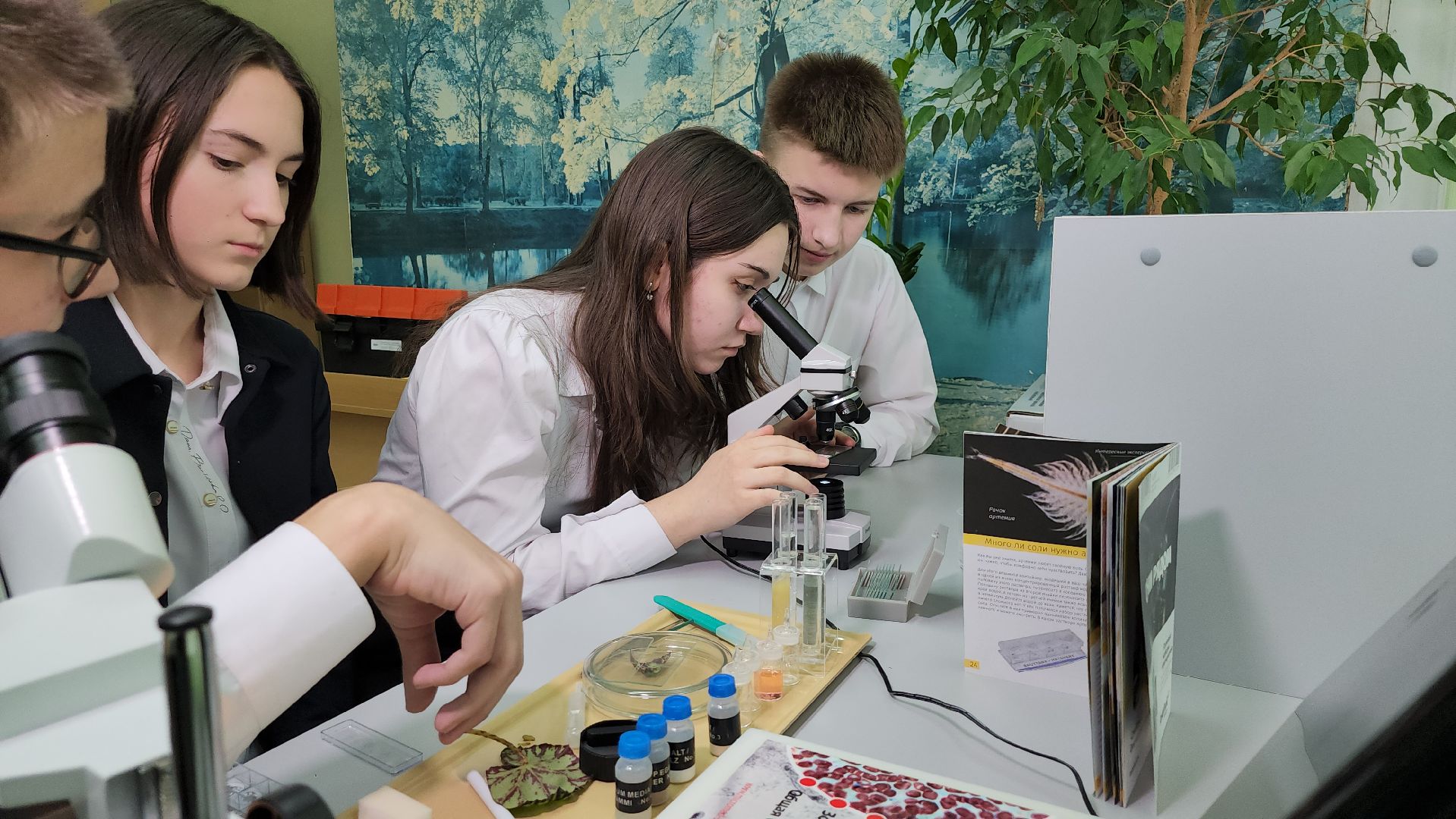 серпухов, подмосковье, куриловская школа, грант,