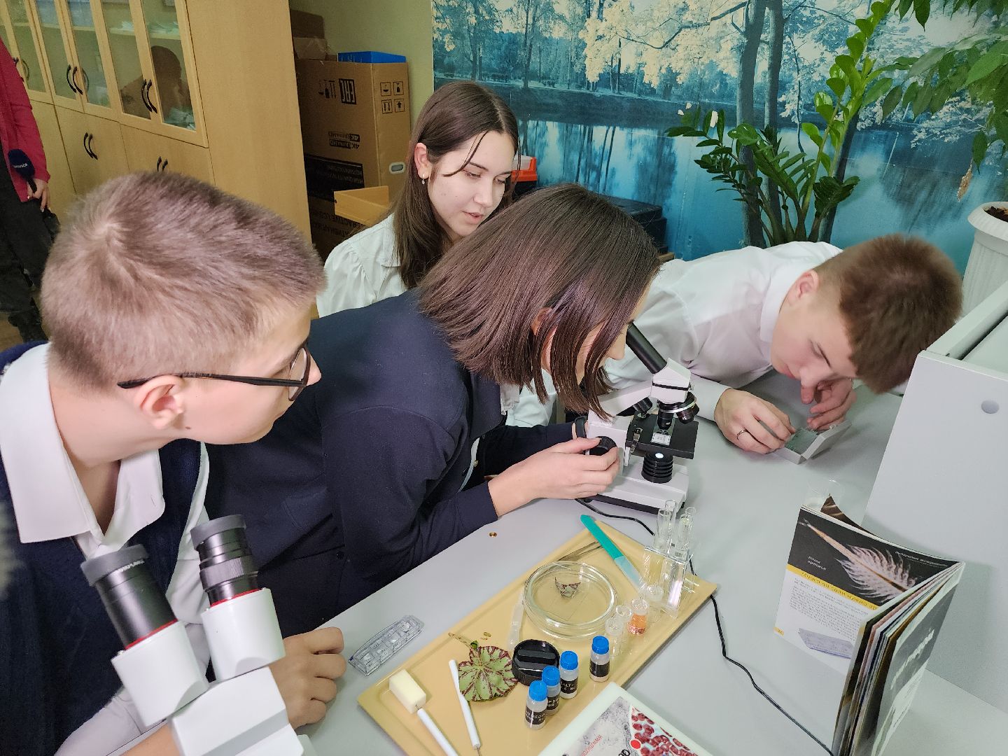 серпухов, подмосковье, куриловская школа, грант,