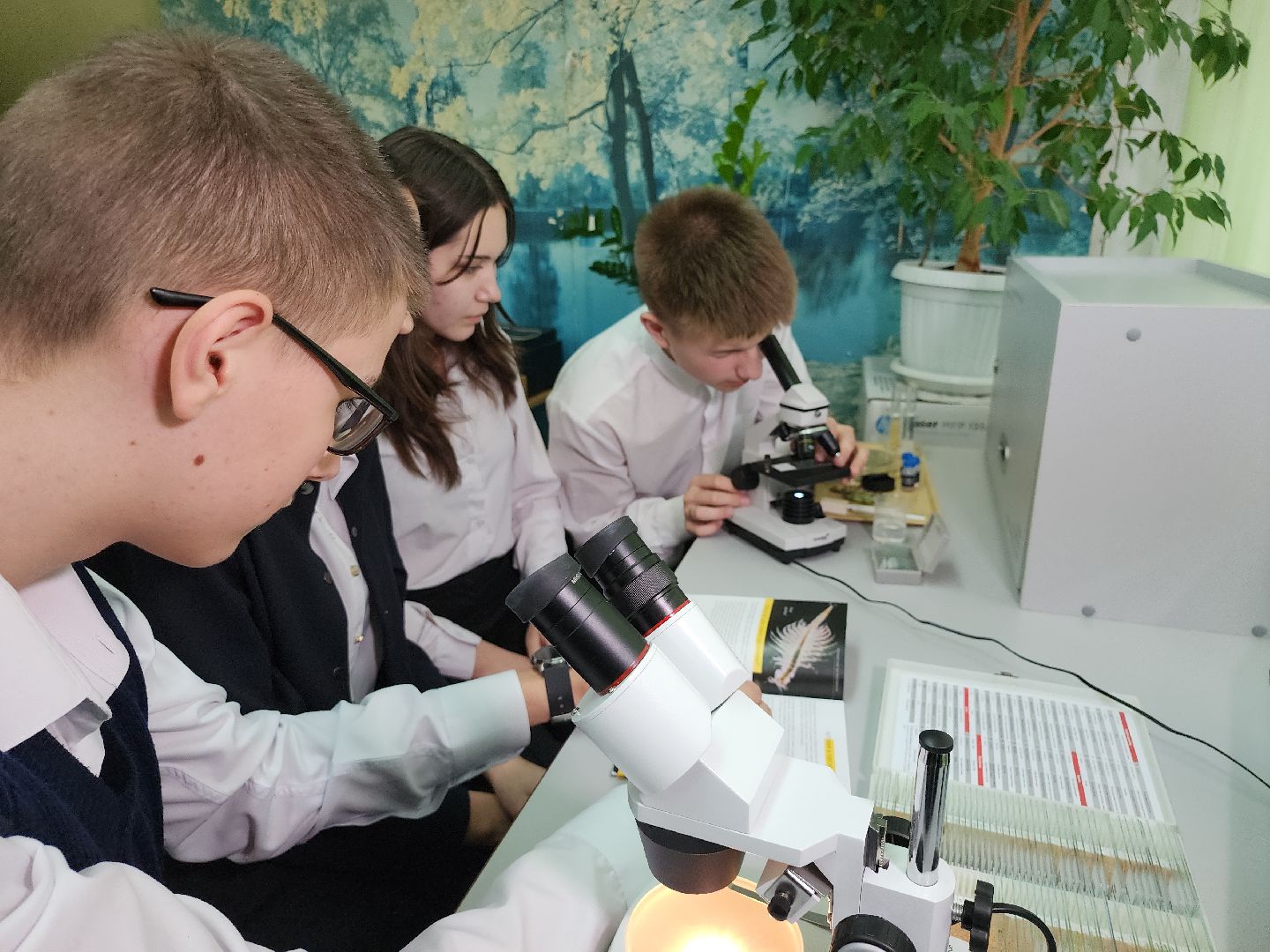 серпухов, подмосковье, куриловская школа, грант,