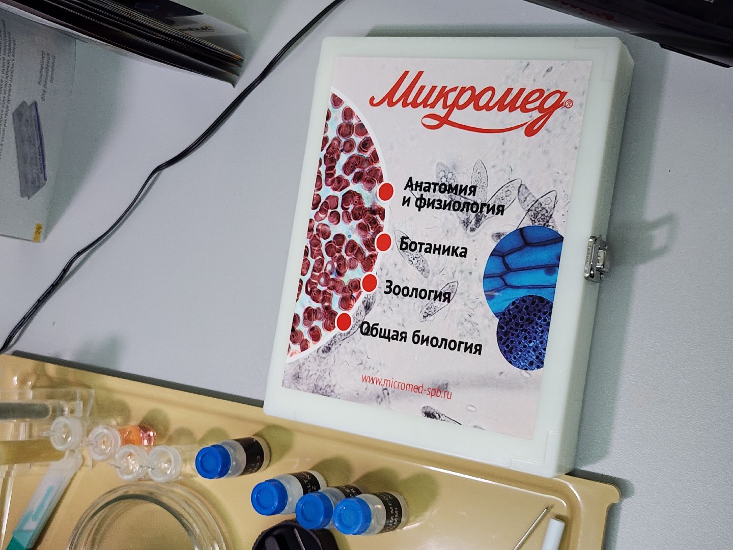 серпухов, подмосковье, куриловская школа, грант,