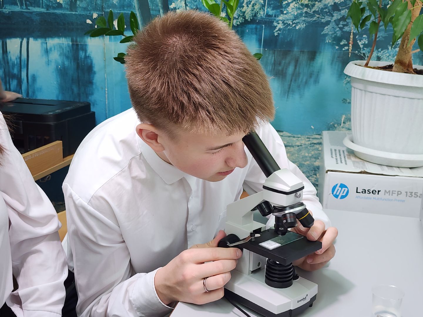 серпухов, подмосковье, куриловская школа, грант,