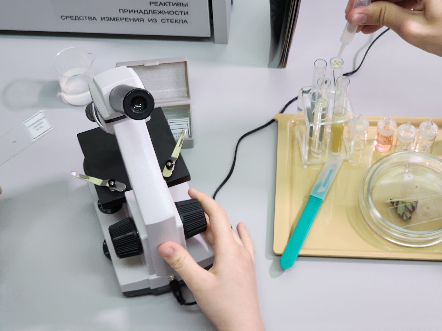 серпухов, подмосковье, куриловская школа, грант,