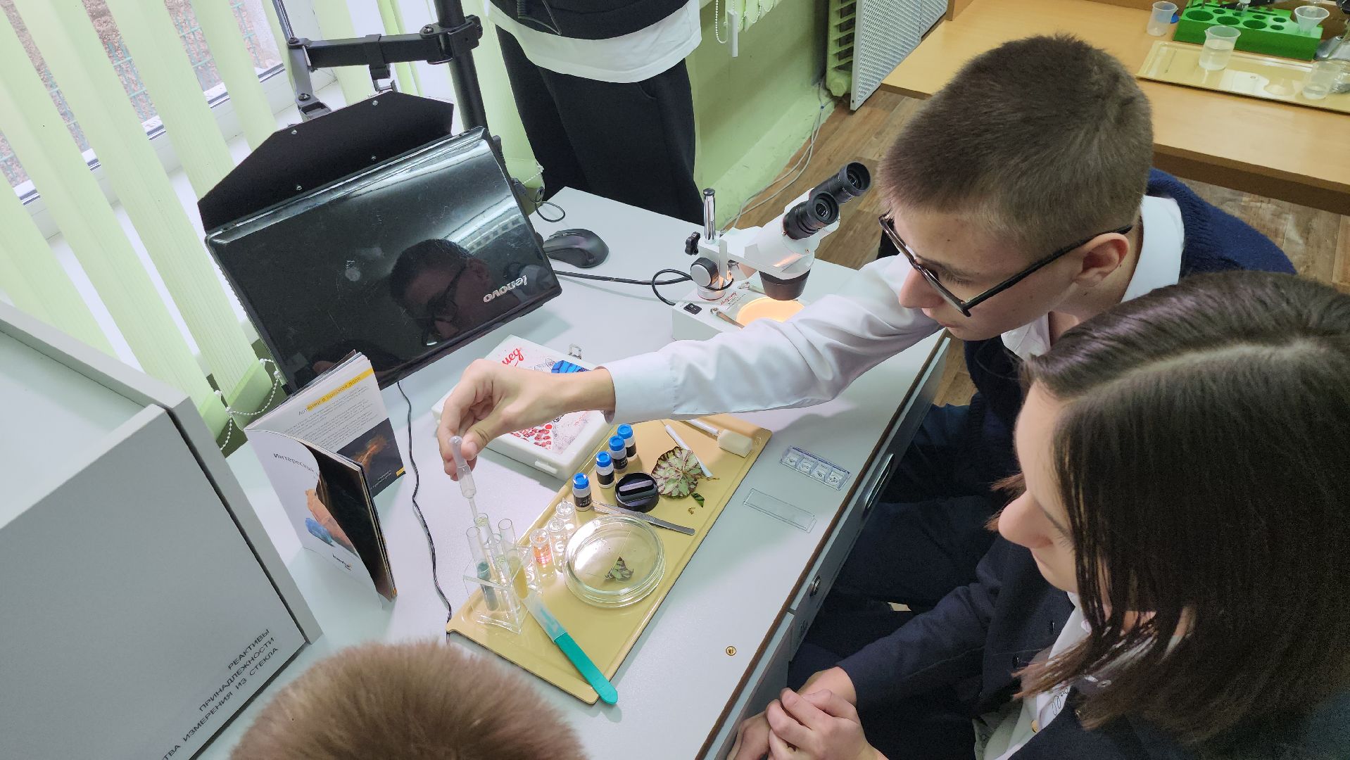 серпухов, подмосковье, куриловская школа, грант,