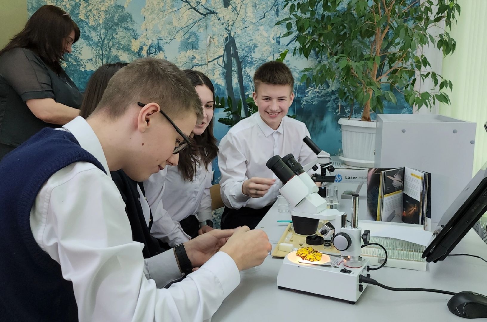 серпухов, подмосковье, куриловская школа, грант,