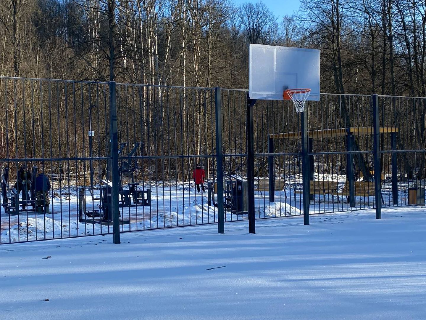 вертикалки, опалиховскийлесопарк, опалиха,