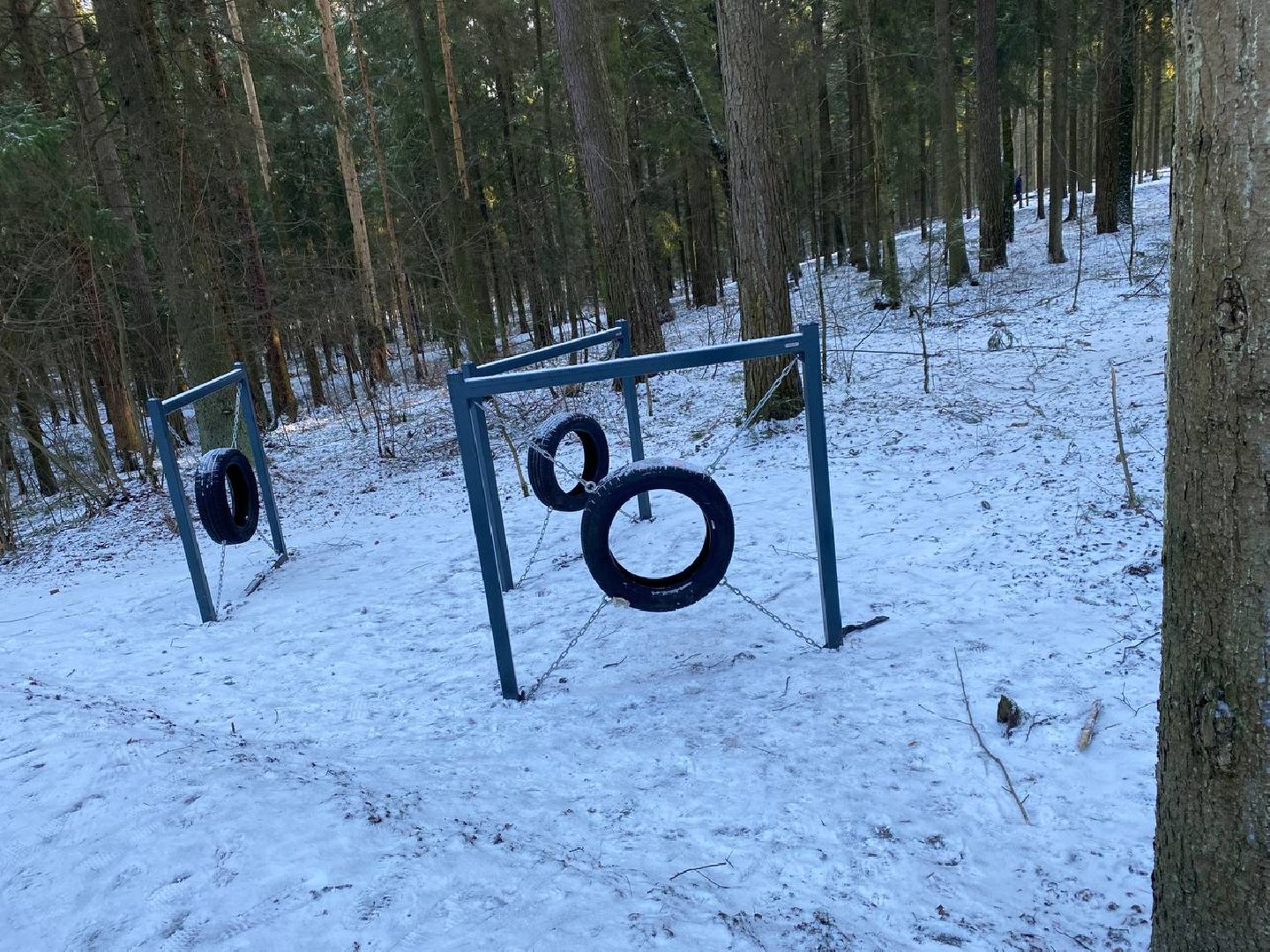 вертикалки, опалиховскийлесопарк, опалиха,