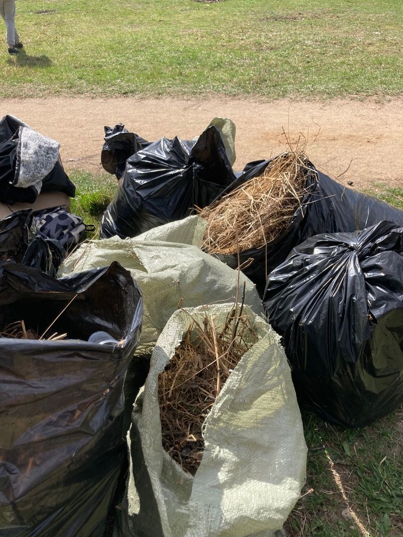 Солнечногорск, благоустройство, учителя, субботник, обновление