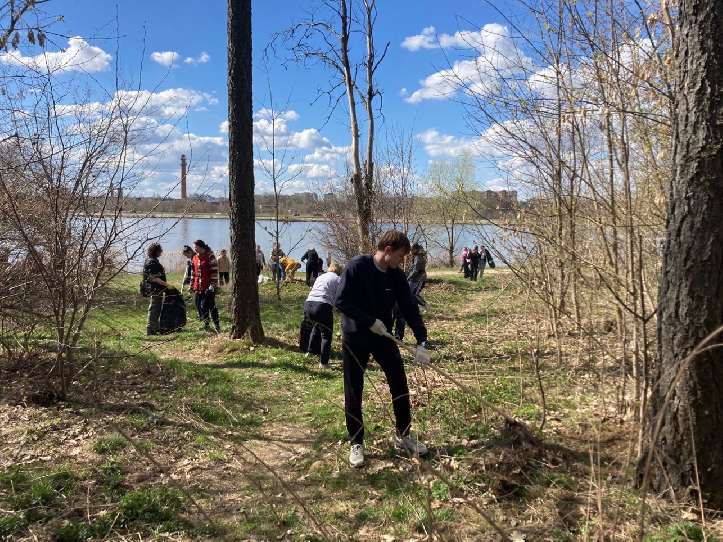 Солнечногорск, благоустройство, учителя, субботник, обновление