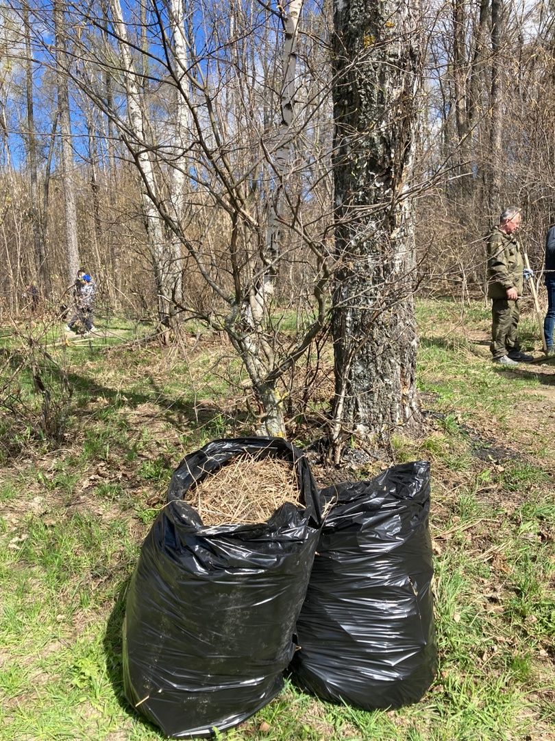 Солнечногорск, благоустройство, учителя, субботник, обновление