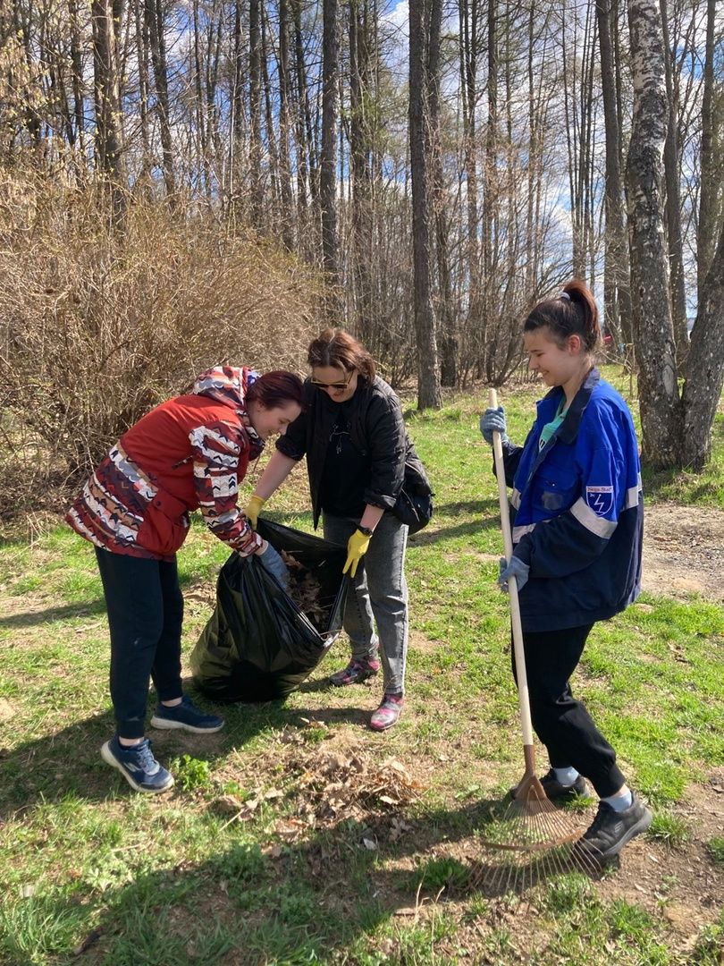 Солнечногорск, благоустройство, учителя, субботник, обновление