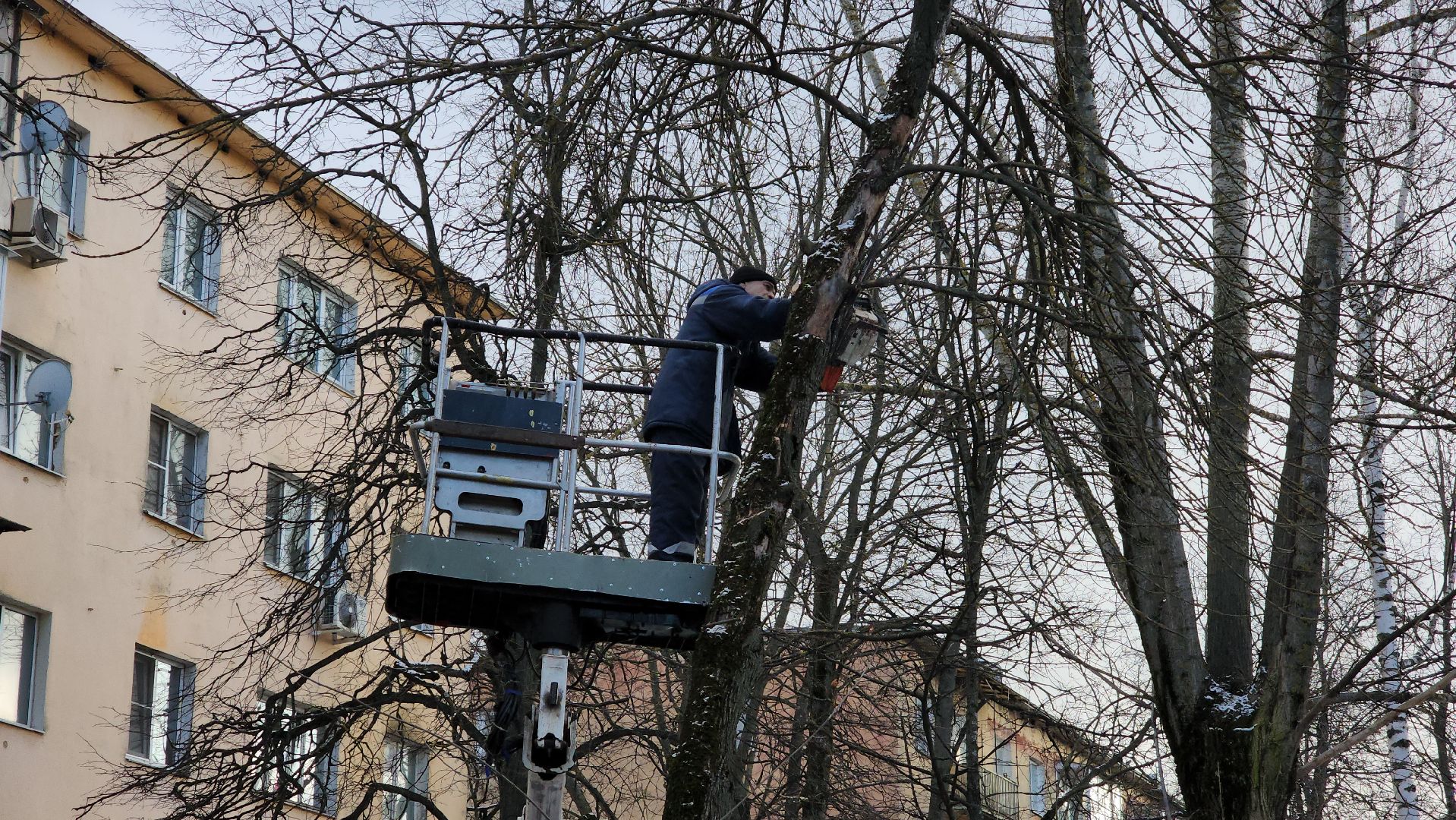 ступино, санитарная обрезка деревьев, благоустройство, вертикалки,