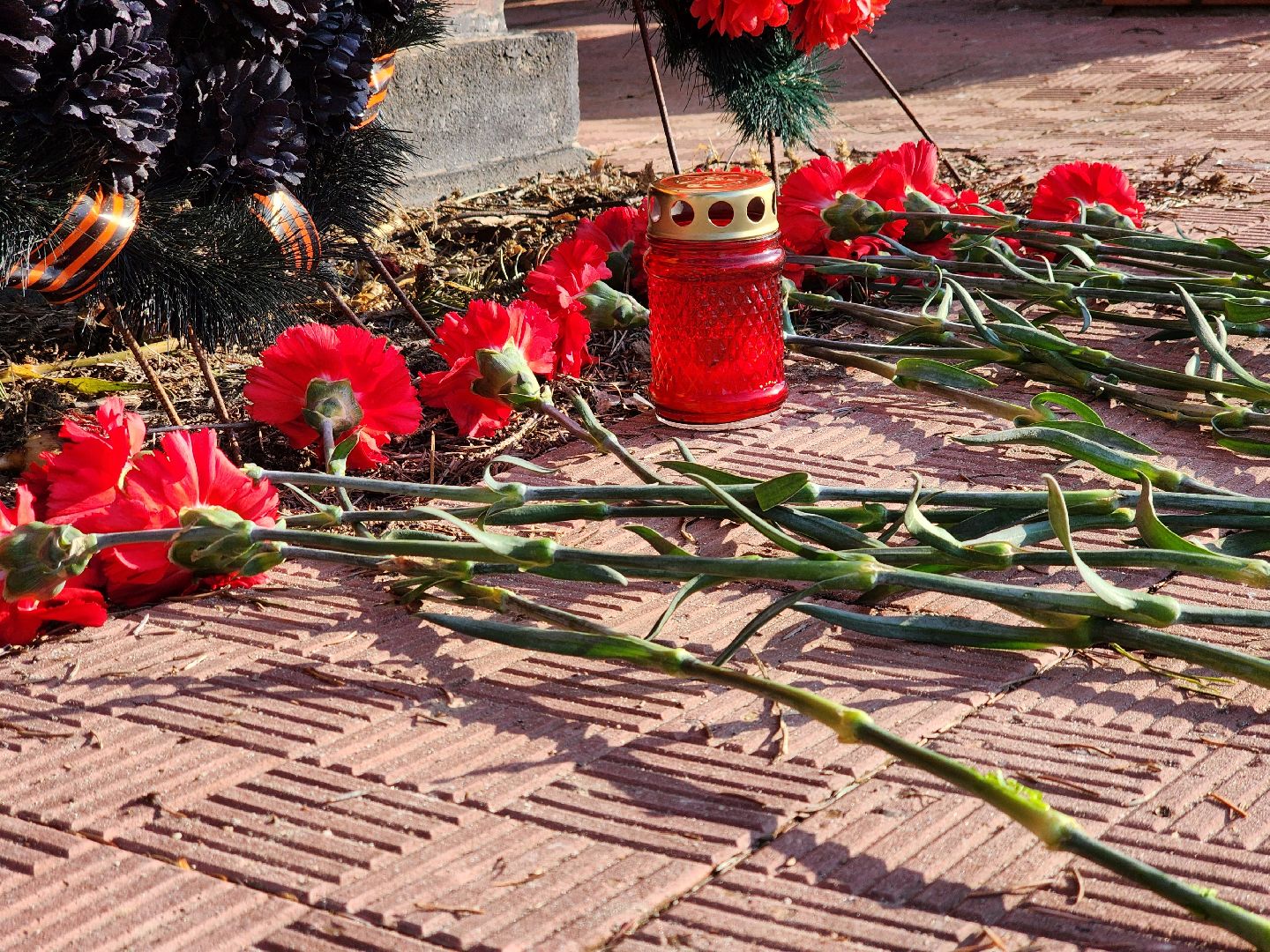 вертикалки, Луховицы, Белоомут, Акция живая цепочка,