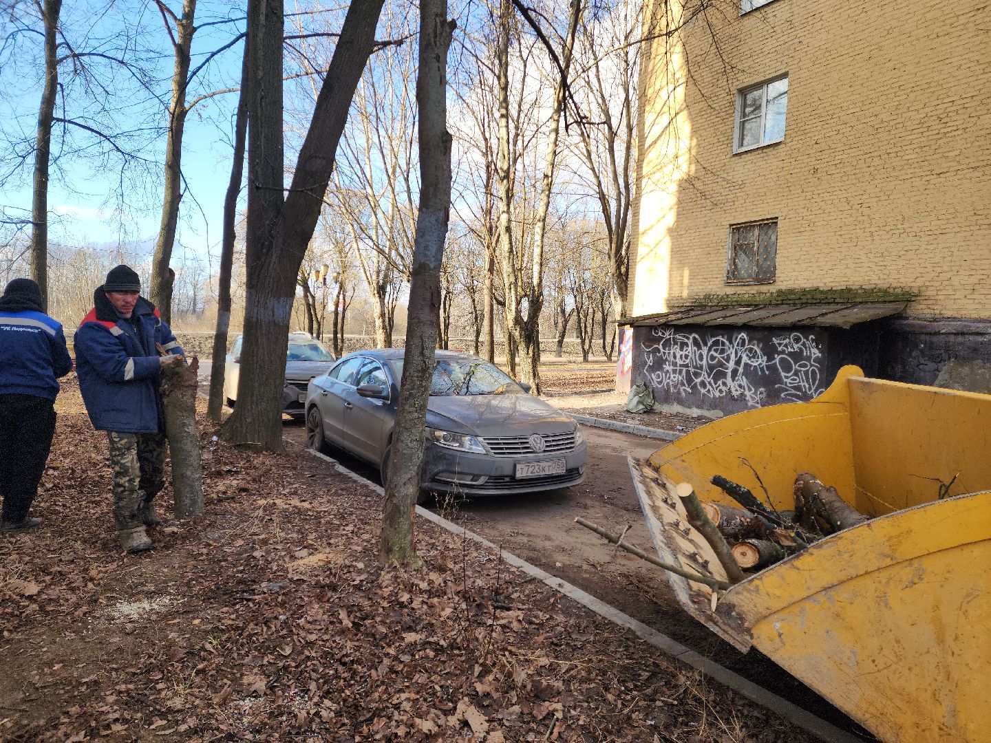 Подольск, Ук подольск, опиловка деревьев, уборка веток, вертикалки,