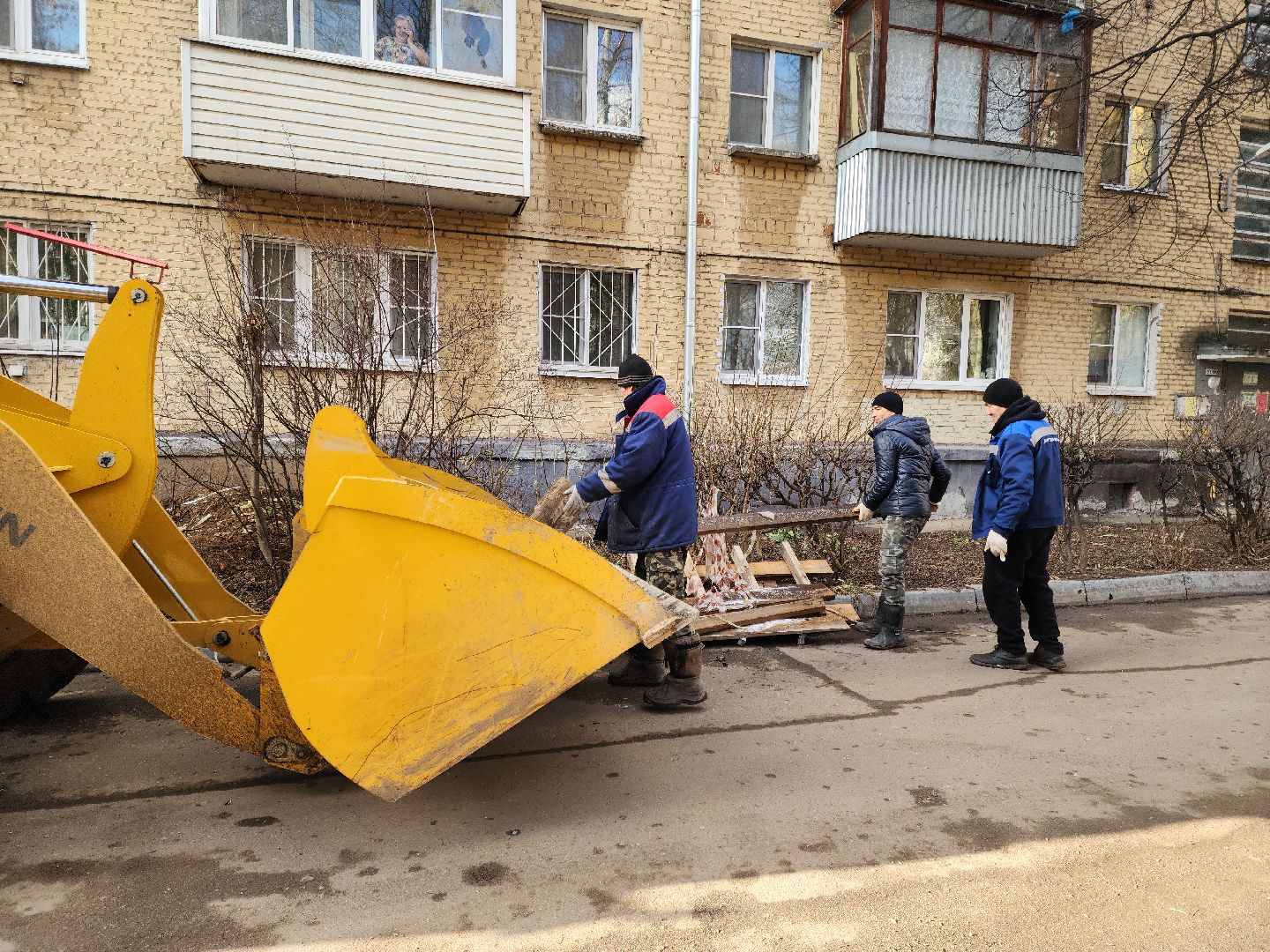 Подольск, Ук подольск, опиловка деревьев, уборка веток, вертикалки,