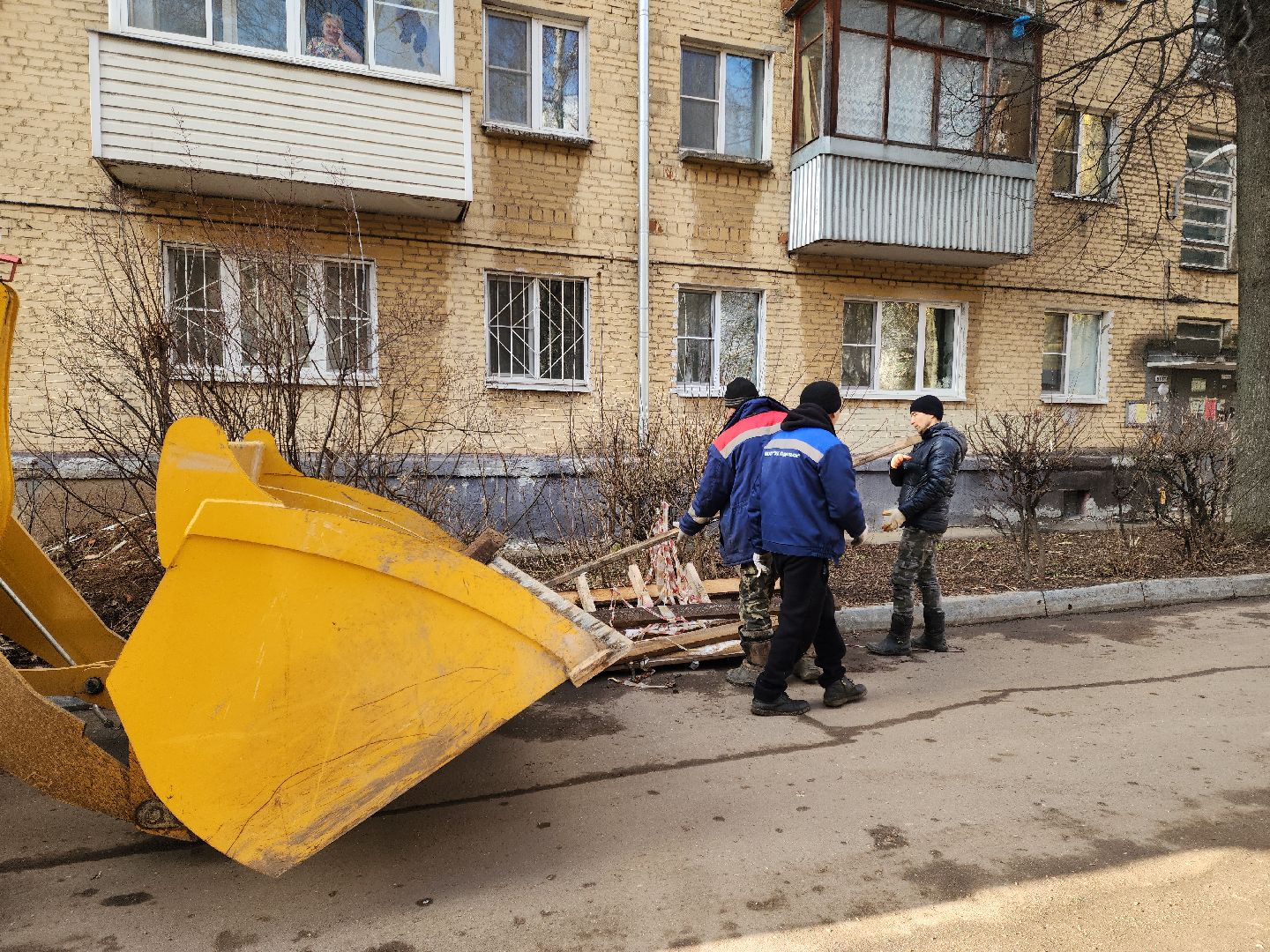 Подольск, Ук подольск, опиловка деревьев, уборка веток, вертикалки,