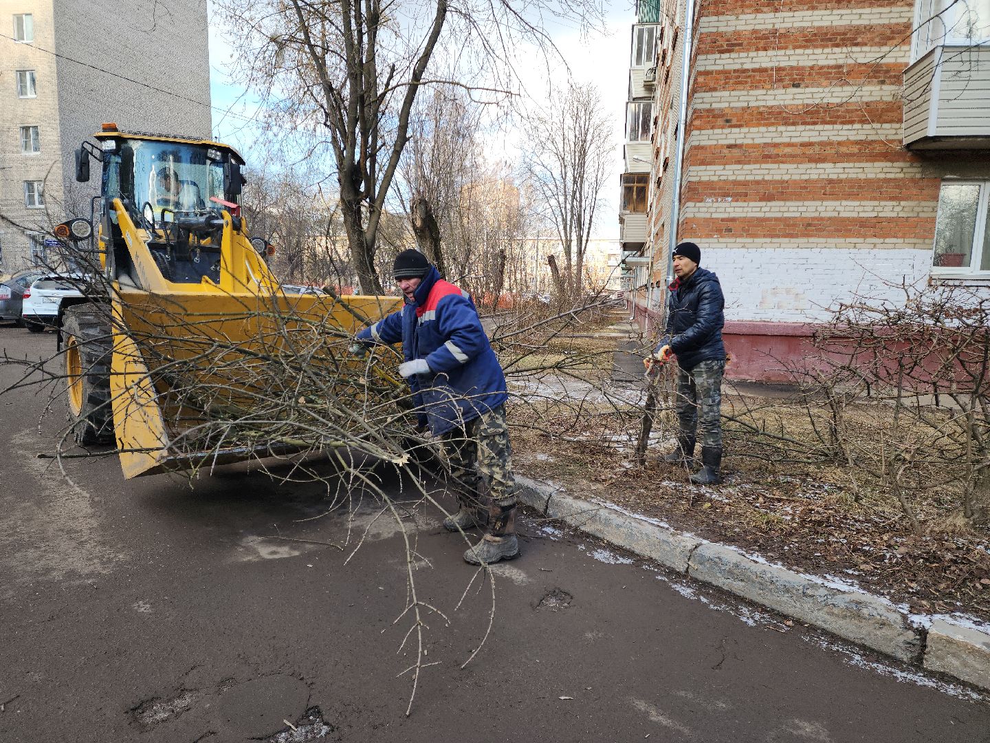 Подольск, Ук подольск, опиловка деревьев, уборка веток, вертикалки,