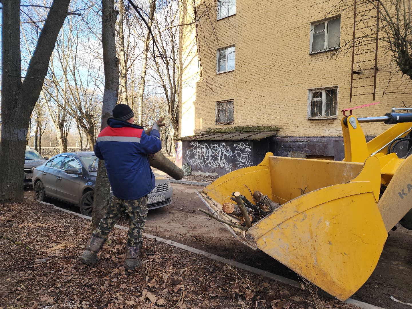 Подольск, Ук подольск, опиловка деревьев, уборка веток, вертикалки,