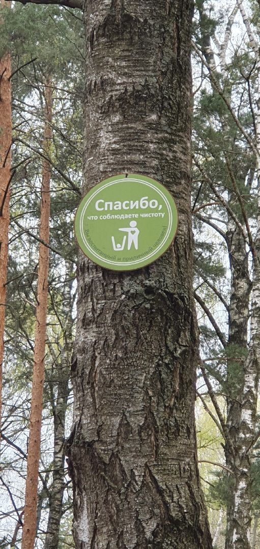 субботник, Кузьминский лесопарк, Котельники, уборка