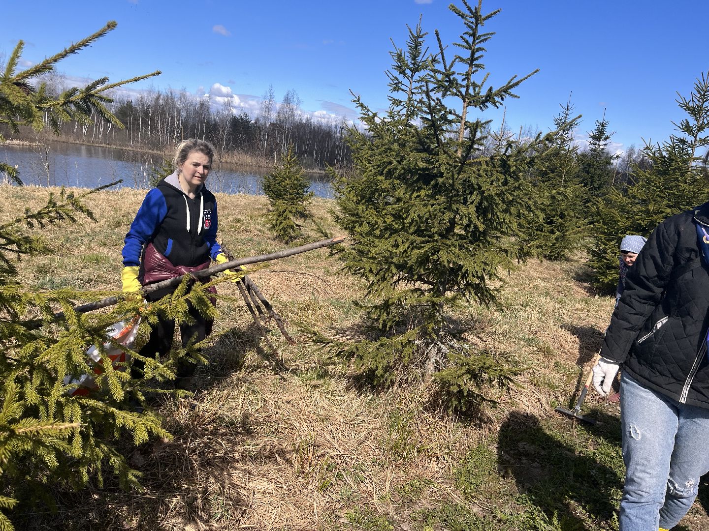 Шаховская, субботник, мусор,