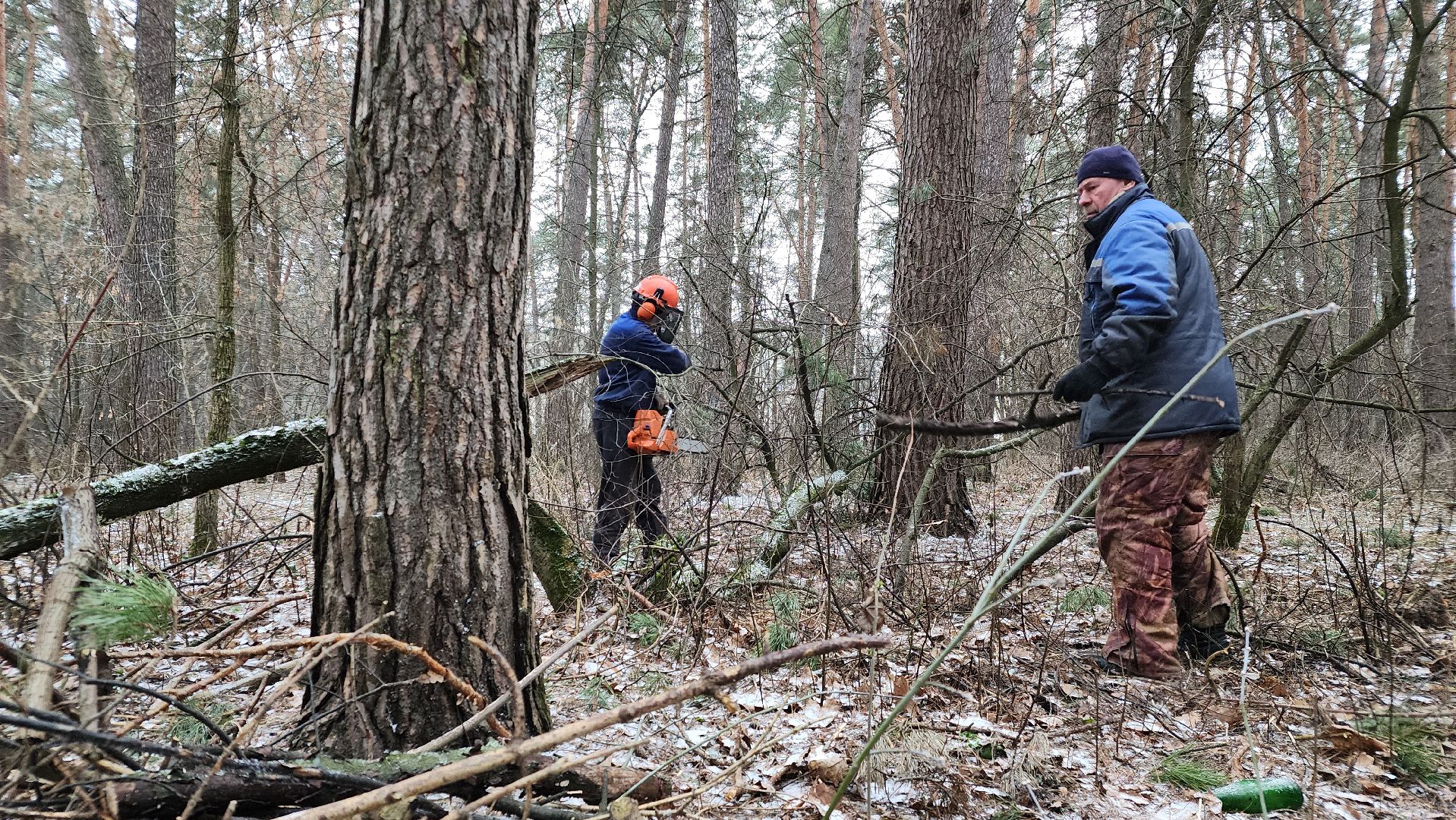 жкх, очистка леса, благоустройство, Протвино, комбинат благоустройства, вертикалки,