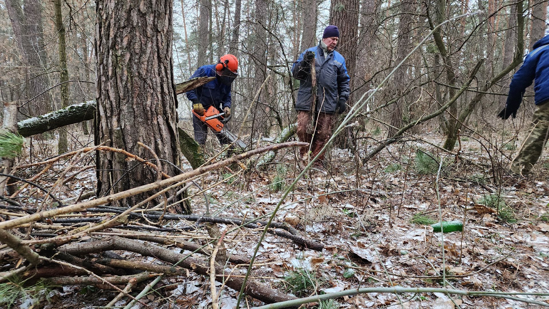 жкх, очистка леса, благоустройство, Протвино, комбинат благоустройства, вертикалки,