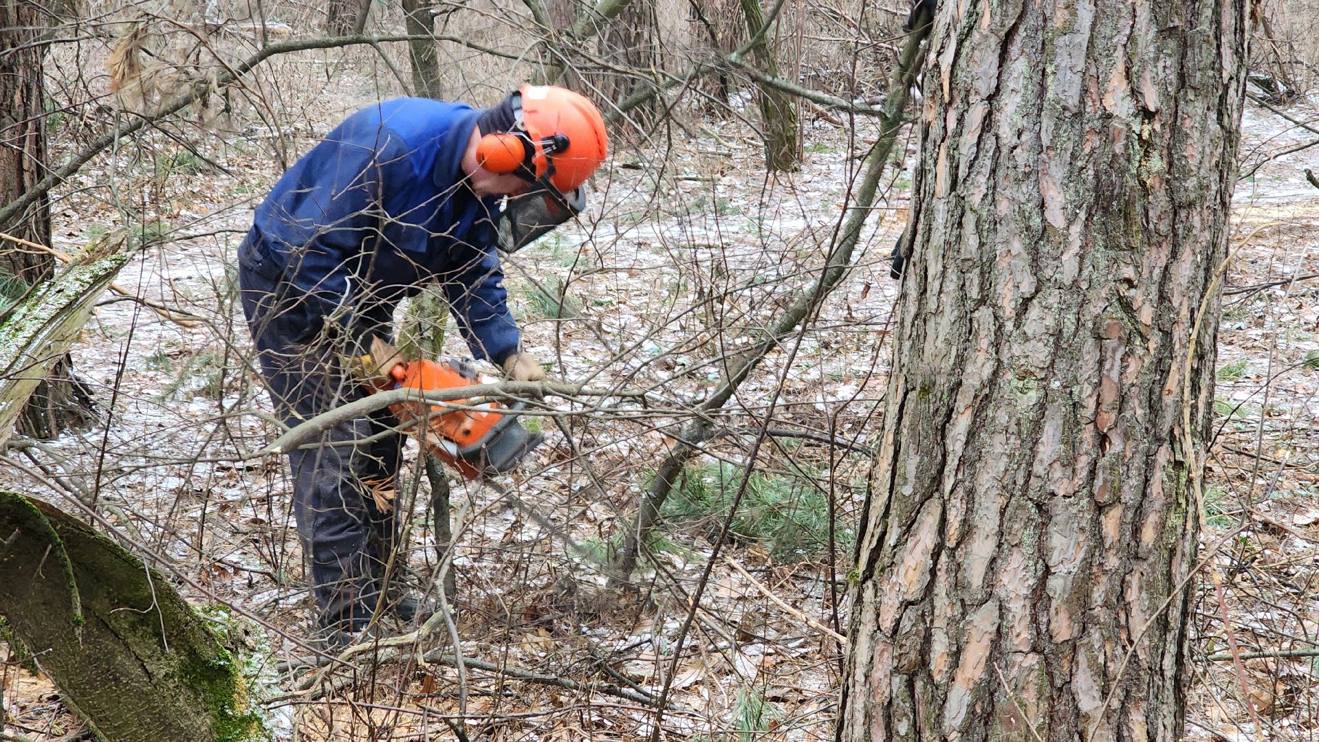 жкх, очистка леса, благоустройство, Протвино, комбинат благоустройства, вертикалки,