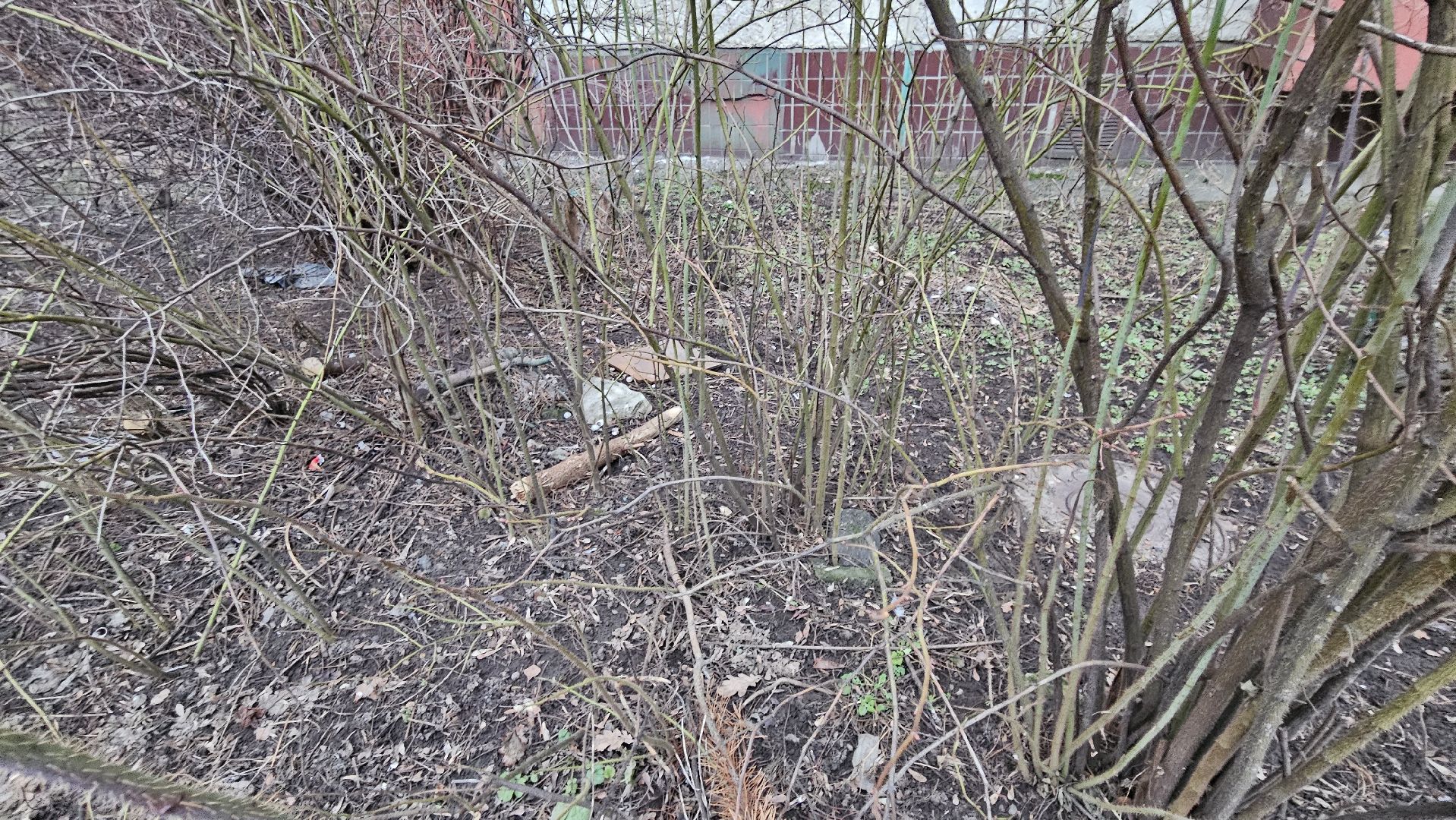 благоуйстройство, Жуковский, выездная администиация,