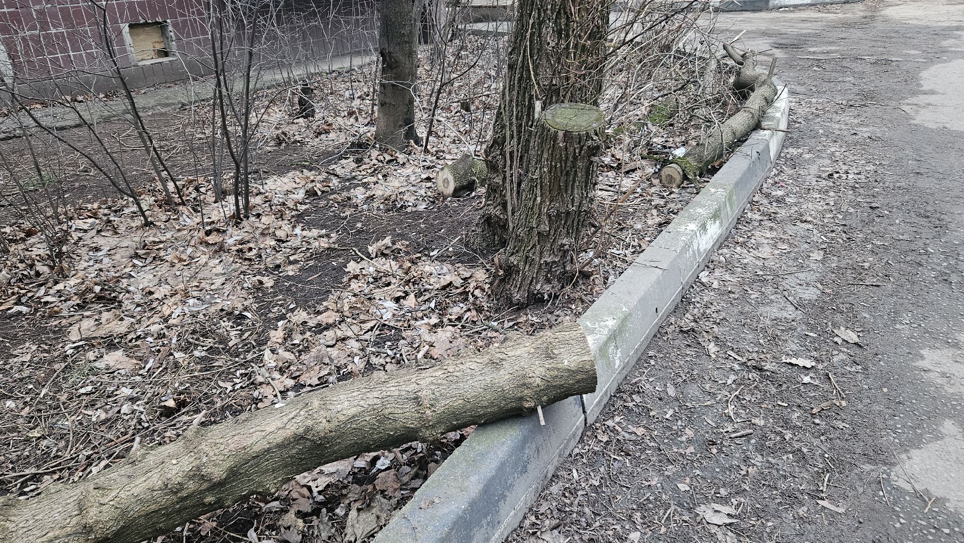 благоуйстройство, Жуковский, выездная администиация,