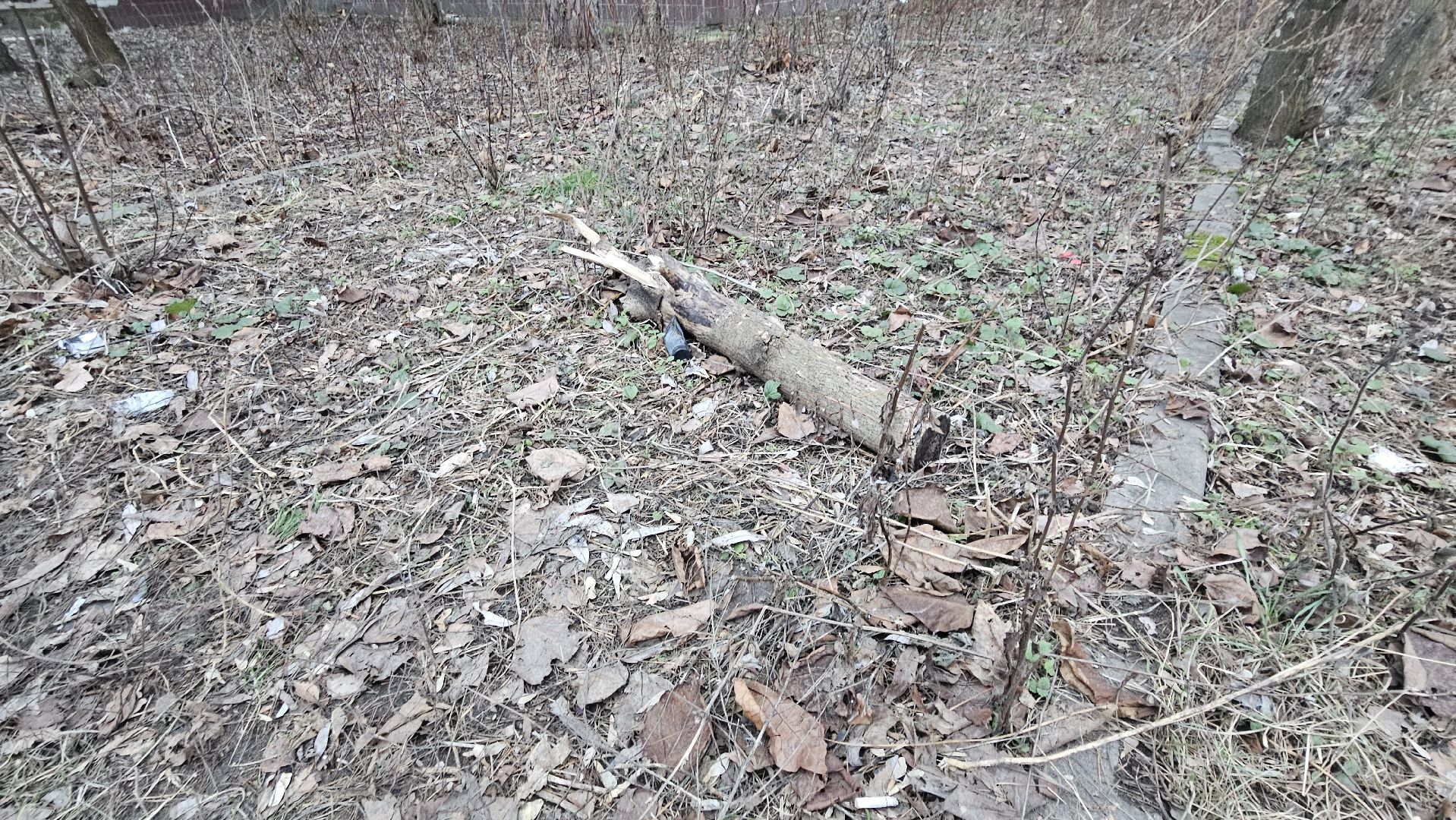 благоуйстройство, Жуковский, выездная администиация,