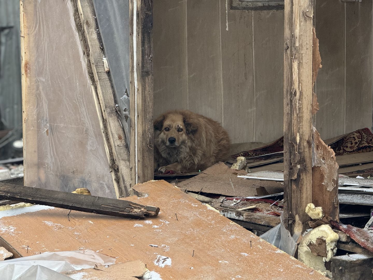 Рейд, Полиция Ленинского округа, мигранты, Село Булатниково,