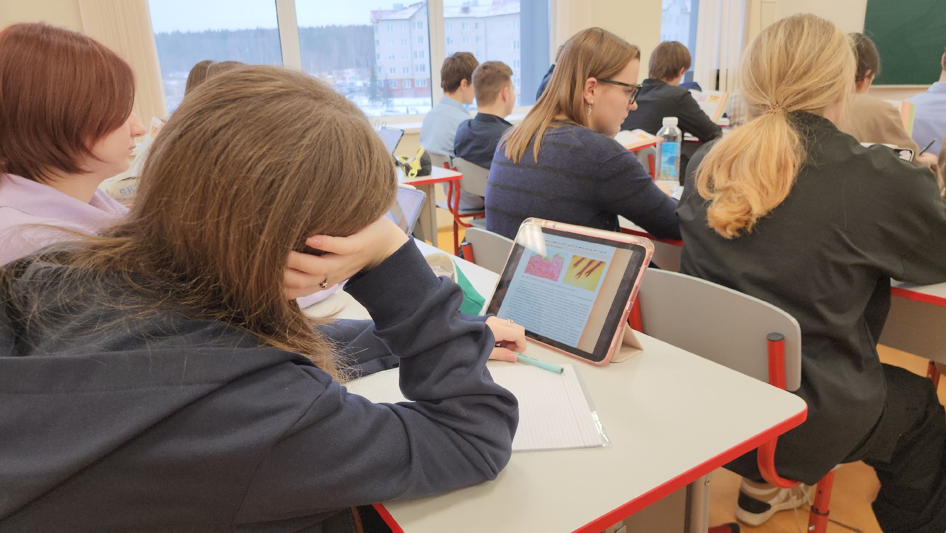 Истра, Школа, Учителя, вертикалки,