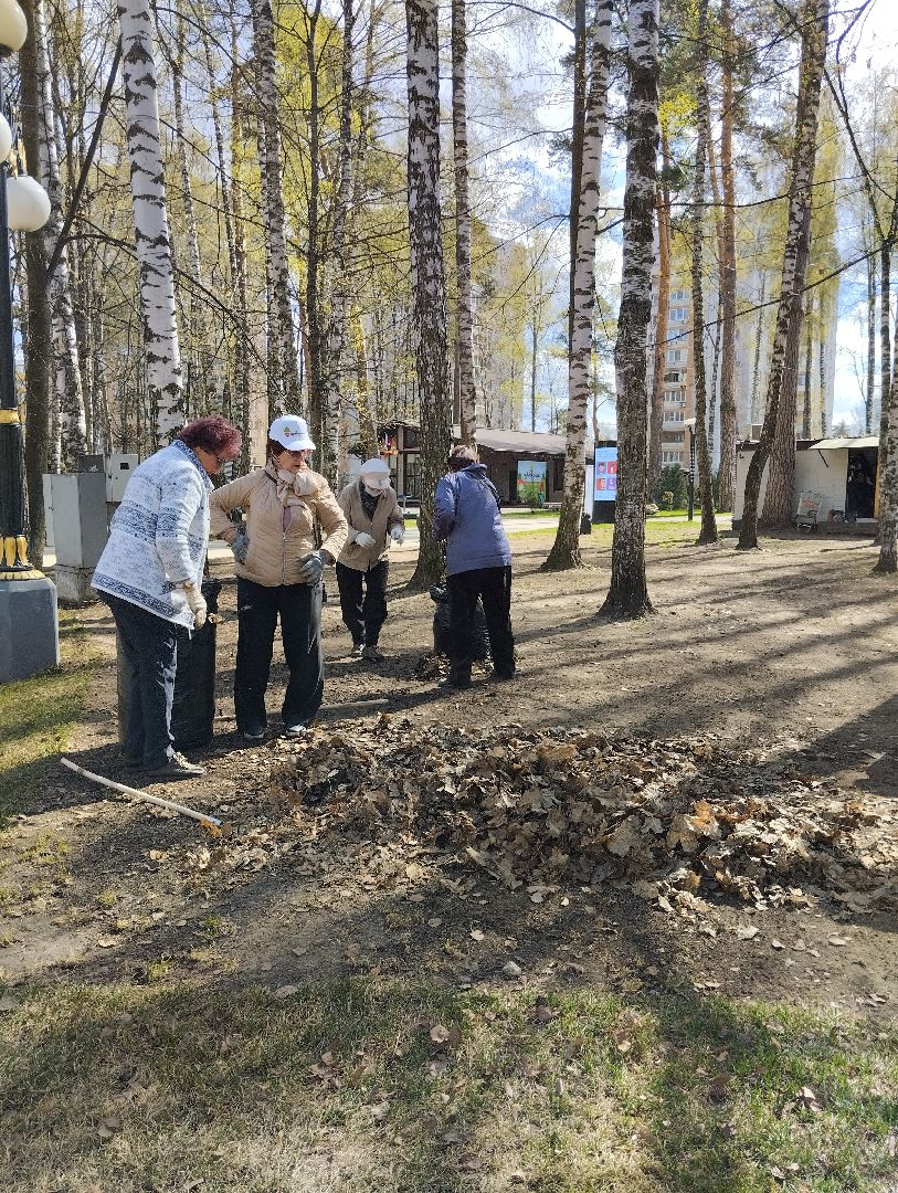 Благоустройство, всероссийский субботник, Ногинск, центральный парк, союз пенсионеров