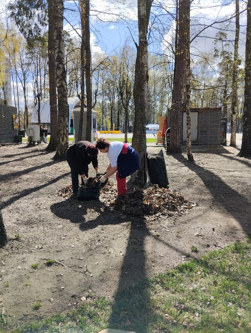 Благоустройство, всероссийский субботник, Ногинск, центральный парк, союз пенсионеров