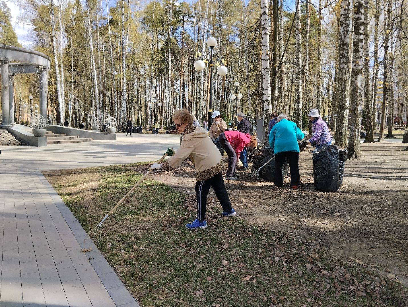 Благоустройство, всероссийский субботник, Ногинск, центральный парк, союз пенсионеров