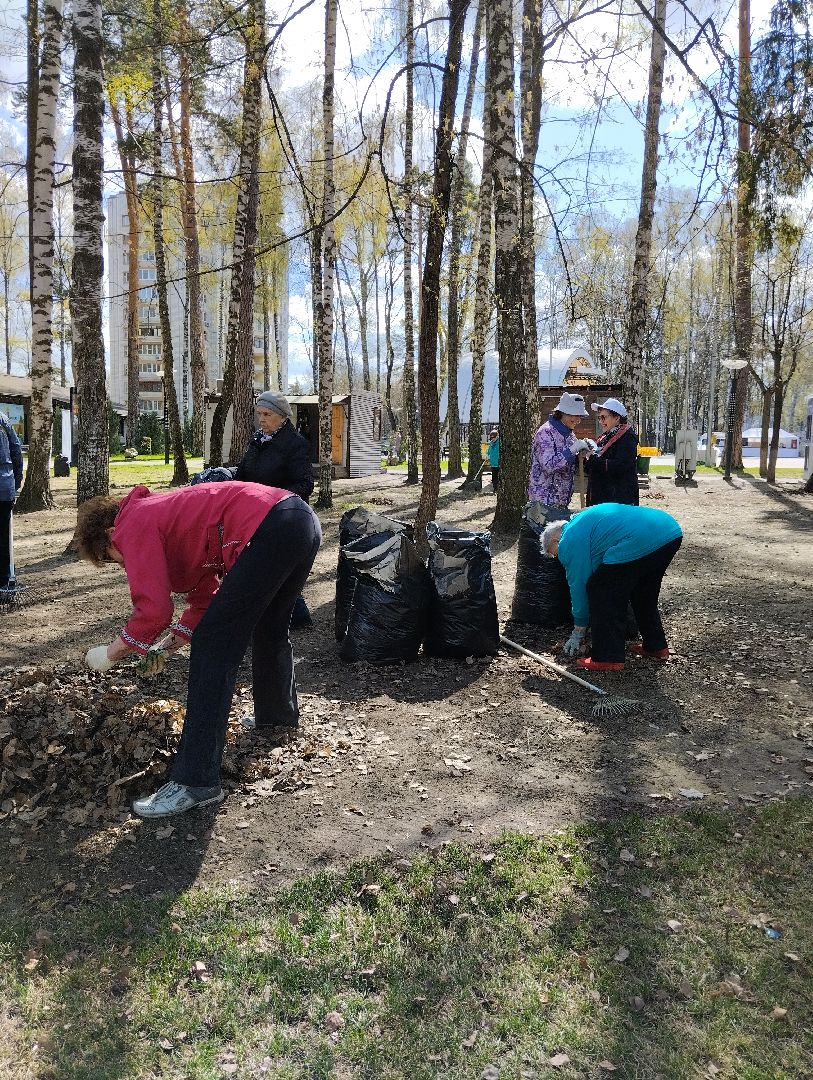 Благоустройство, всероссийский субботник, Ногинск, центральный парк, союз пенсионеров