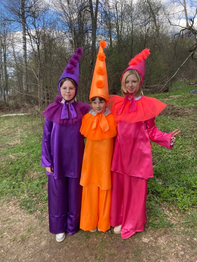 Солнечногорск, Тимоново, субботник, Сенеж, уборка