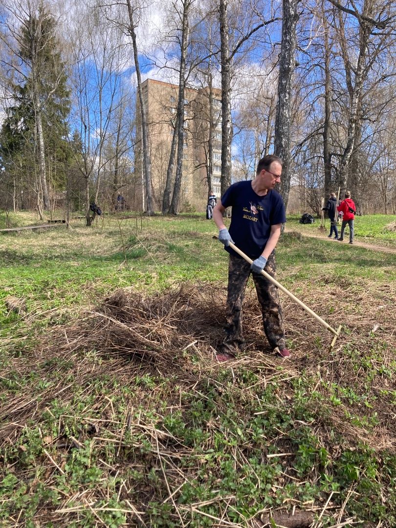 Солнечногорск, Тимоново, субботник, Сенеж, уборка