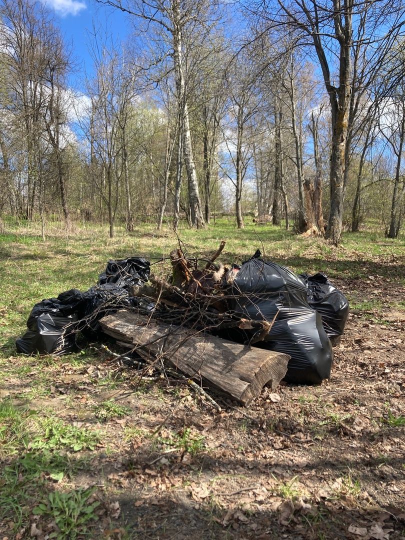 Солнечногорск, Тимоново, субботник, Сенеж, уборка